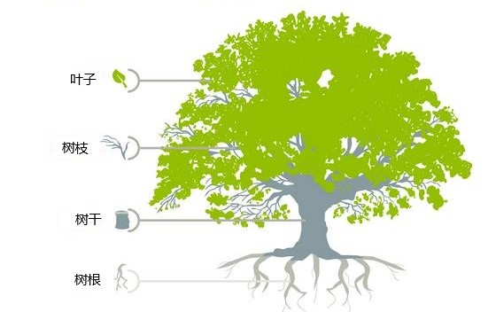 树的组成部分